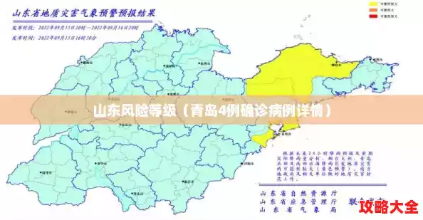 山东风险等级（青岛4例确诊病例详情）