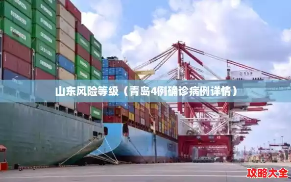 山东风险等级（青岛4例确诊病例详情）