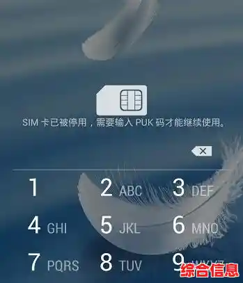 pin码含义_何为pin码