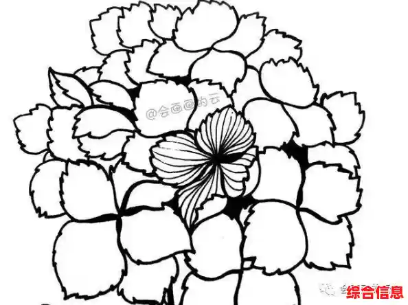 零基础也能画好花：简单实用的花朵绘画教程与技巧分享！