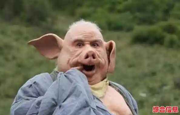 斗牛游戏新手必读攻略：常见疑问全解析与快速上手技巧