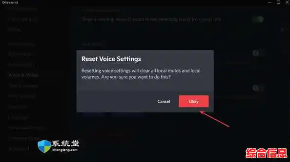 如何解决Windows 11系统麦克风无声音的故障