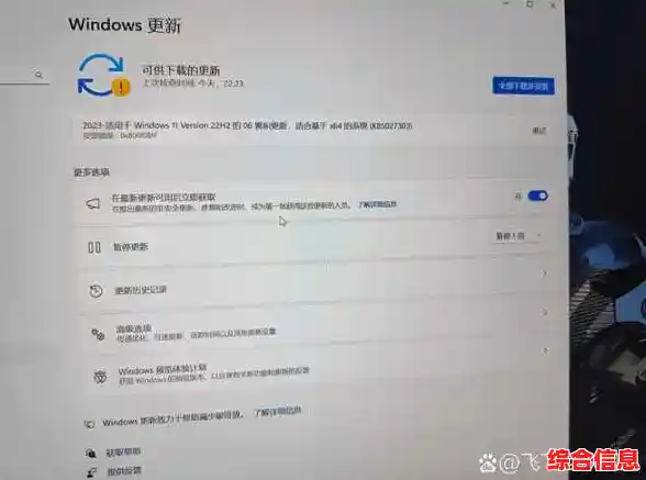 惠普无法升级Win11/惠普升级windows11