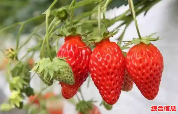 深入探讨UV的本质：为何它在现代科技中不可或缺