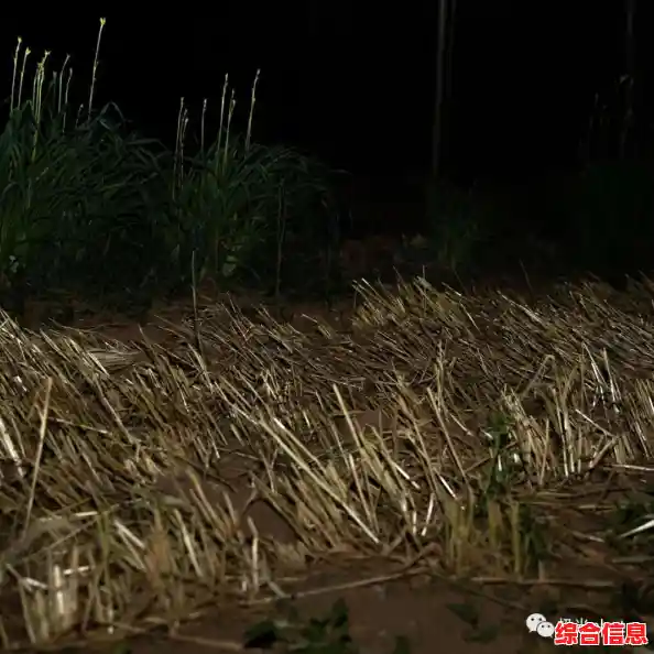 想要打造属于自己的冒险村庄?冒险村物语2中文版》难道不值得一试? 想要打造属于自己的冒险村庄?冒险村物语2中文版》难道不值得一试?