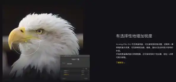 设计师必备的PS超实用插件神器,让创作事半功倍! 设计师必备的PS超实用插件神器,让创作事半功倍!