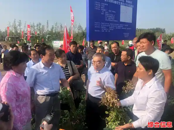 芯片技术创新突破_芯片科技创新 芯片技术创新突破_芯片科技创新