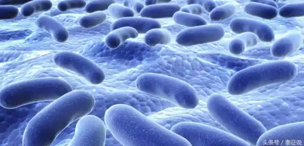 职业健康与安全管理|职业健康与安全管理论文