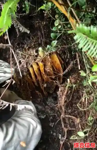 让所有齿轮完美运转的成就感,齿轮发烧友》你确定不玩? 让所有齿轮完美运转的成就感,齿轮发烧友》你确定不玩?