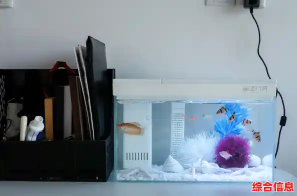 解锁小米智能定时开关，为您的家居生活增添便捷与智慧