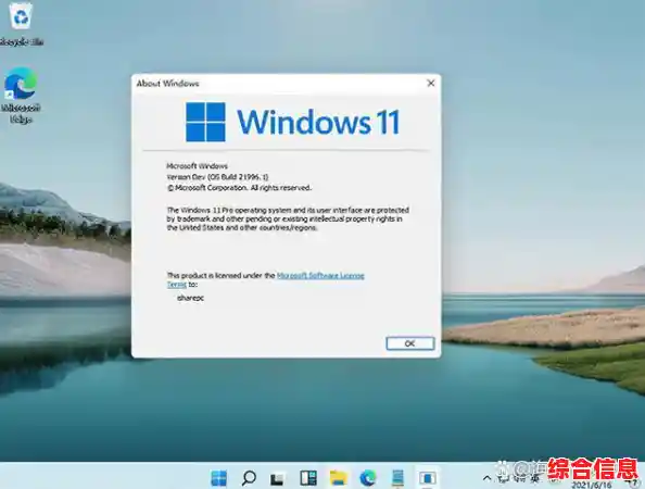 全面了解Windows 11：升级指南与版本特性深度解读