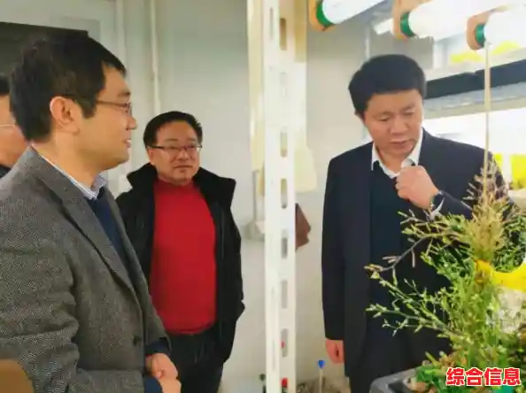 想体验经典与创新的完美结合？植物大战僵尸e版安卓版等你来战！