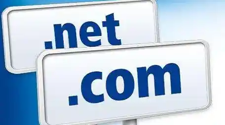 探索域名背后的奥秘：互联网世界的独特标识与作用