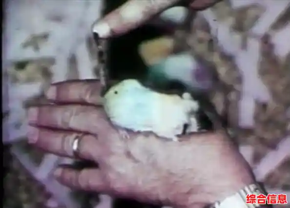 还在寻找轻松有趣的模拟经营游戏?咖啡乌托邦》等你来挑战! 还在寻找轻松有趣的模拟经营游戏?咖啡乌托邦》等你来挑战!