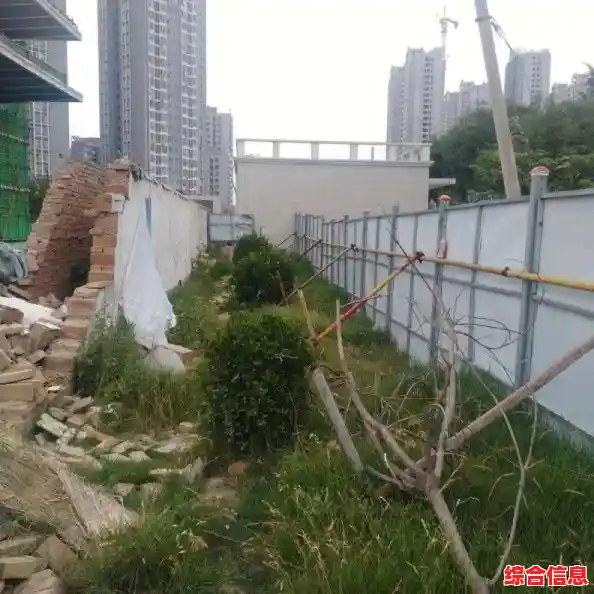 如何解决Win 11中CPU占用率飙升问题：原因分析与操作指南