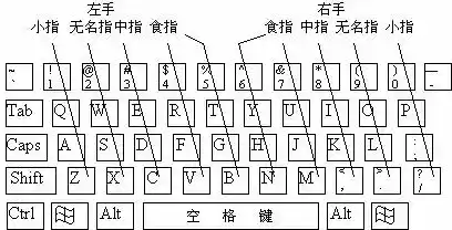 灵活手指的键盘打字训练技巧，迅速提升输入速度与准确度！