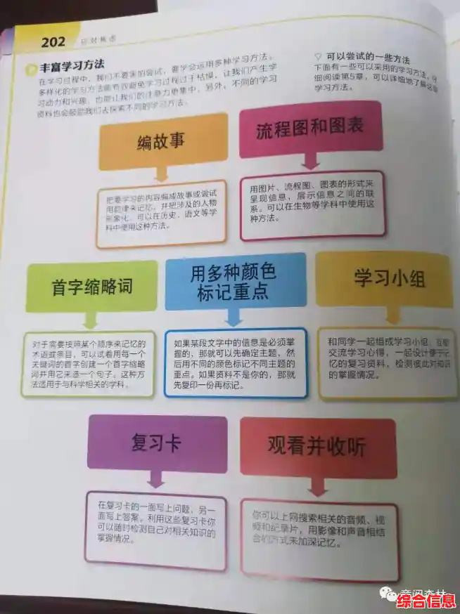 初学者成长手册:解锁必备基础技能与高效学习技巧的详细攻略 初学者成长手册:解锁必备基础技能与高效学习技巧的详细攻略