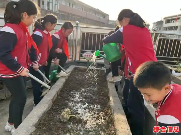 QQ开放平台：创新驱动发展，开放赋能无限可能