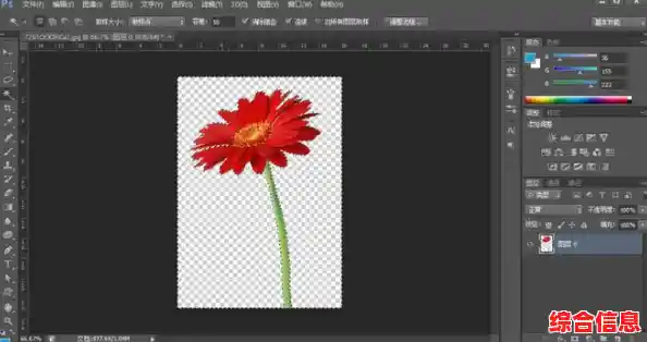 智能抠图工具：快速分离主体与背景，让图片编辑变得轻松简单