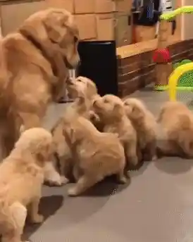 电脑系统崩溃不用慌，一步步教你重新安装稳定流畅的系统