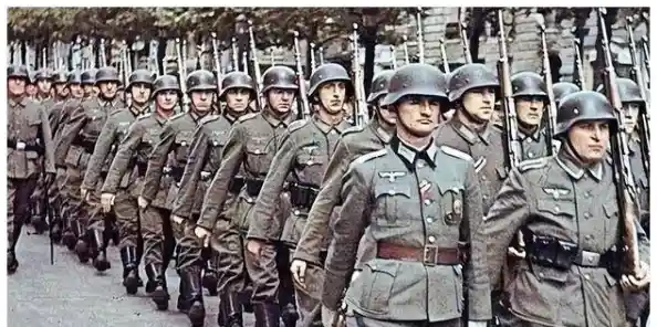 手机2全面进化：突破性性能提升与创新功能，带来前所未有的高效体验