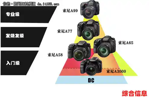 从新手到专家：单反相机选购指南，让你的拍摄愿望成真！