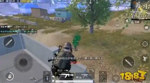 想体验百人激战的刺激？快来试试《和平精英国服》吧！