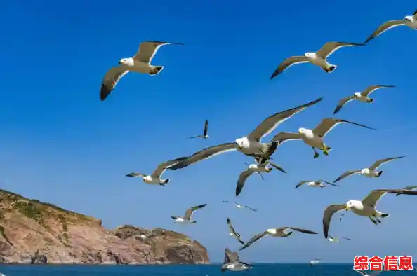 打造梦想都市何必犹豫？特大城市》的海岛山脉全地图任你驰骋！