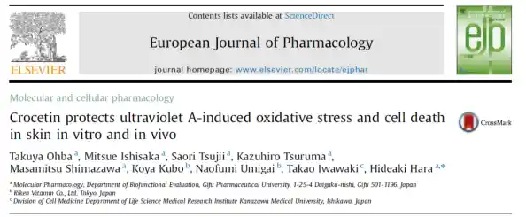 momo是什么?揭开这个词汇的神秘面纱与真实语境 momo是什么?揭开这个词汇的神秘面纱与真实语境