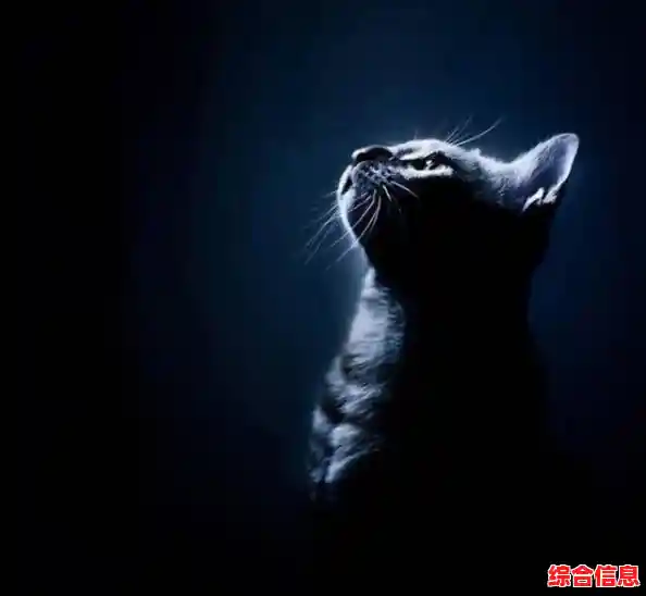 照顾诡异的黄衣婴儿有多刺激?黄衣婴儿170新版黑猫章节》等你来尝试! 照顾诡异的黄衣婴儿有多刺激?黄衣婴儿170新版黑猫章节》等你来尝试!