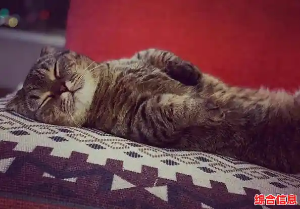 照顾诡异的黄衣婴儿有多刺激?黄衣婴儿170新版黑猫章节》等你来尝试! 照顾诡异的黄衣婴儿有多刺激?黄衣婴儿170新版黑猫章节》等你来尝试!