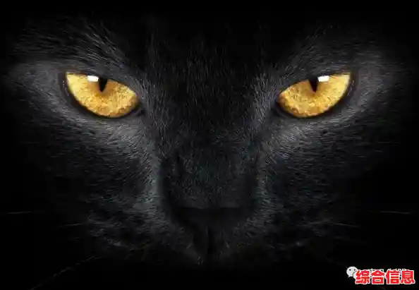 照顾诡异的黄衣婴儿有多刺激?黄衣婴儿170新版黑猫章节》等你来尝试! 照顾诡异的黄衣婴儿有多刺激?黄衣婴儿170新版黑猫章节》等你来尝试!