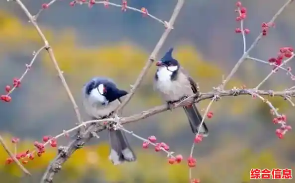 追求视听与解谜的双重享受?夜莺号的记忆》的音乐与画面何尝不是一场感官盛宴? 追求视听与解谜的双重享受?夜莺号的记忆》的音乐与画面何尝不是一场感官盛宴?