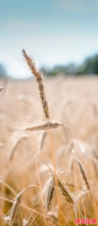 精美锁屏壁纸精选,瞬间点亮你的手机屏幕视觉体验 精美锁屏壁纸精选,瞬间点亮你的手机屏幕视觉体验