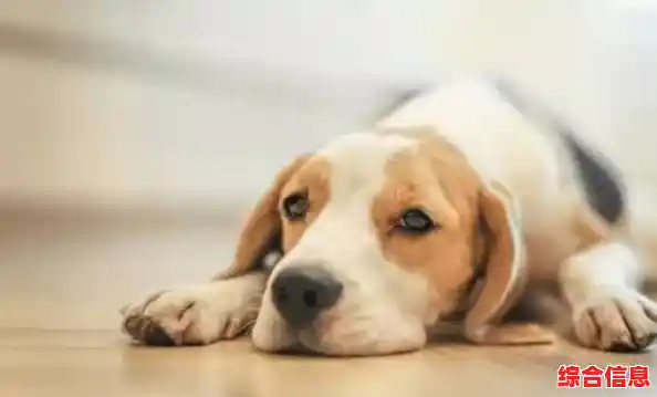 创意十足且简单上手？狐朋狗友》的魅力谁能抵挡？