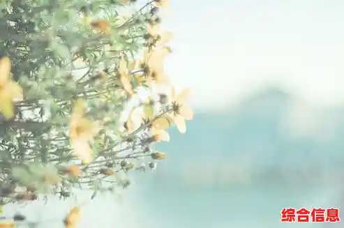 QQ密码遗忘处理指南:详细步骤助您快速找回账户访问权限 QQ密码遗忘处理指南:详细步骤助您快速找回账户访问权限