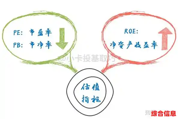 PE含义全解析：深入探讨这一术语的多重定义与应用场景