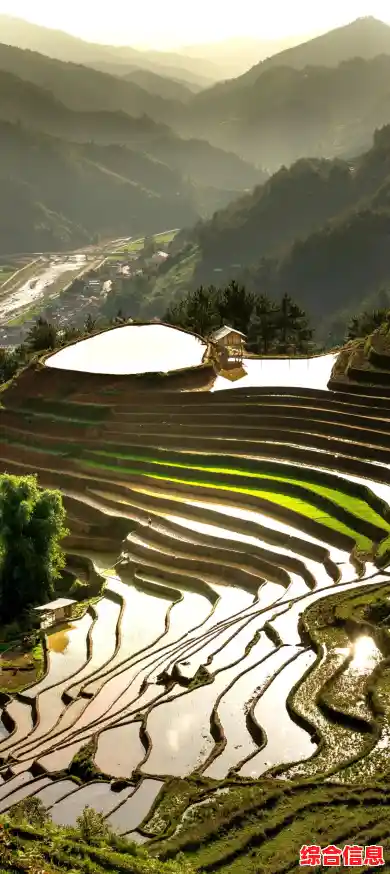 地方游戏网:探索乡村乐趣,畅享田园游戏时光 地方游戏网:探索乡村乐趣,畅享田园游戏时光