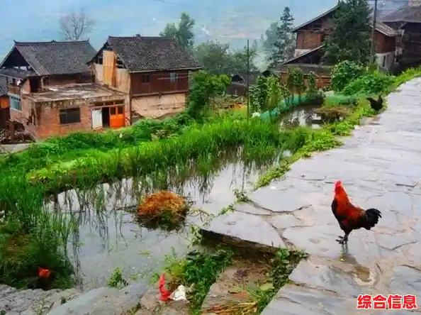 地方游戏网:探索乡村乐趣,畅享田园游戏时光 地方游戏网:探索乡村乐趣,畅享田园游戏时光