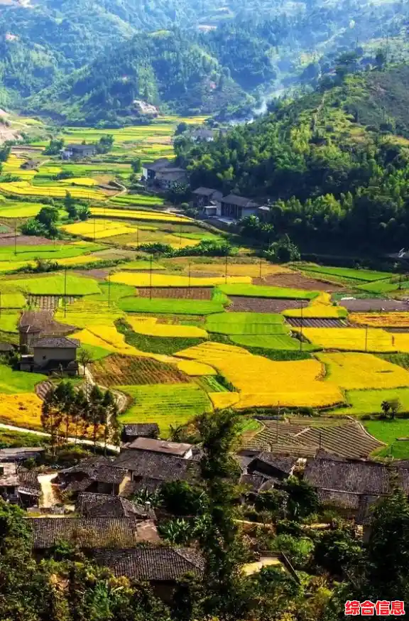 地方游戏网:探索乡村乐趣,畅享田园游戏时光 地方游戏网:探索乡村乐趣,畅享田园游戏时光