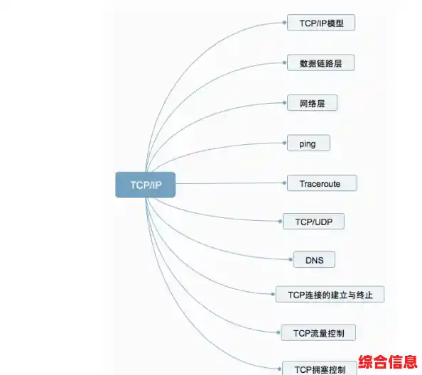 TP究竟是什么？揭秘这一术语的多重内涵与关键要点