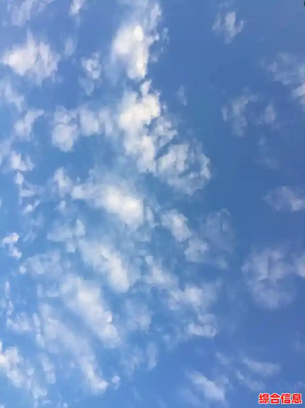 想体验治愈心灵的模拟经营乐趣？晴空之下》满足你对悠闲生活的所有幻想！