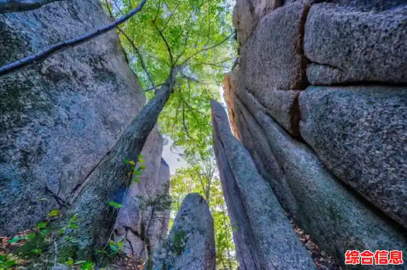 想体验真实山地自行车竞速？速降王者中文版》等你来挑战！