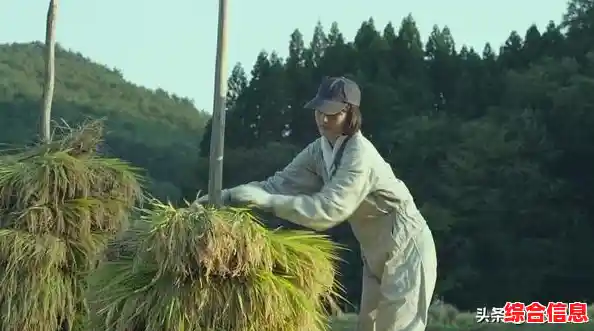 《小森灵手机版》厌倦了复杂任务?这款治愈经营游戏让你随心选择,不试试吗? 《小森灵手机版》厌倦了复杂任务?这款治愈经营游戏让你随心选择,不试试吗?