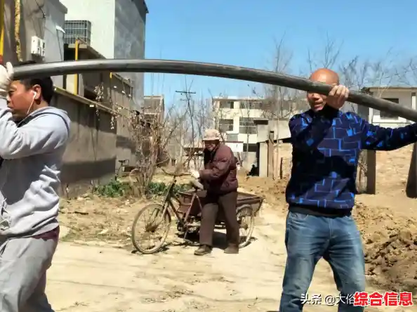 PE指什么？详细解读这一缩写在不同领域中的具体含义与用法