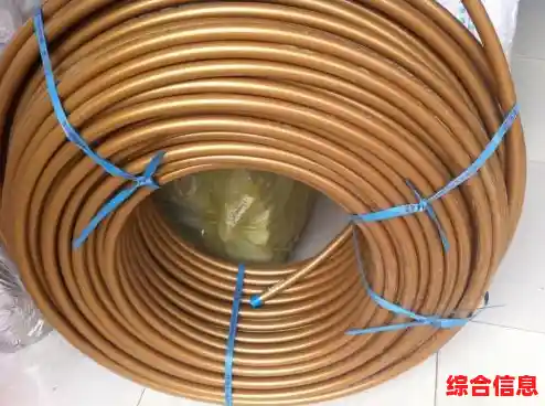 PE指什么？详细解读这一缩写在不同领域中的具体含义与用法