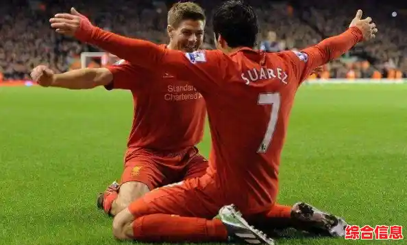 掌握Office 2013激活技巧，小鱼带您高效使用正版工具教程