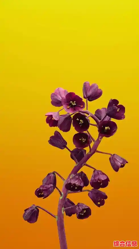 苹果手机高清壁纸精选：绚丽色彩镌刻每一刻美好瞬间