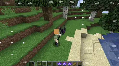 想在手机上自由探索与创造?我的世界网易版》满足你的想象! 想在手机上自由探索与创造?我的世界网易版》满足你的想象!