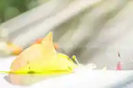 [QQ头像]新鲜出炉！快来更新你的个性头像吧！